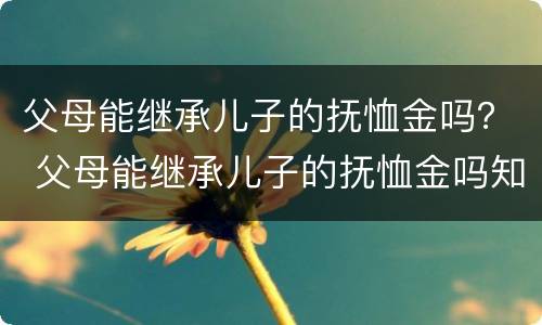 父母能继承儿子的抚恤金吗？ 父母能继承儿子的抚恤金吗知乎