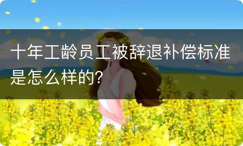 十年工龄员工被辞退补偿标准是怎么样的？