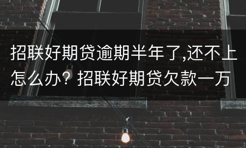 招联好期贷逾期半年了,还不上怎么办? 招联好期贷欠款一万逾期了还不上怎么办
