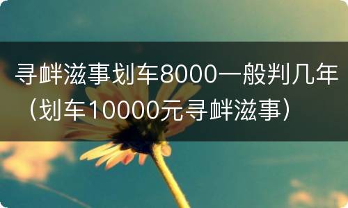 寻衅滋事划车8000一般判几年（划车10000元寻衅滋事）