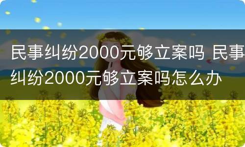 民事纠纷2000元够立案吗 民事纠纷2000元够立案吗怎么办