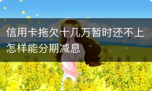 信用卡拖欠十几万暂时还不上怎样能分期减息