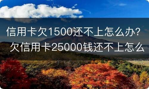 信用卡欠1500还不上怎么办？ 欠信用卡25000钱还不上怎么办
