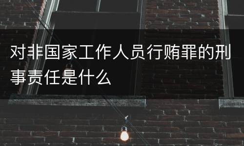 对非国家工作人员行贿罪的刑事责任是什么