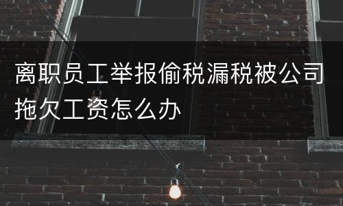 离职员工举报偷税漏税被公司拖欠工资怎么办