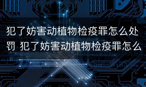 犯了妨害动植物检疫罪怎么处罚 犯了妨害动植物检疫罪怎么处罚的