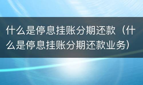 什么是停息挂账分期还款（什么是停息挂账分期还款业务）
