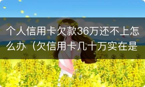 个人信用卡欠款36万还不上怎么办（欠信用卡几十万实在是还不上,怎么办）