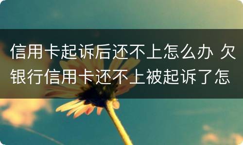 信用卡起诉后还不上怎么办 欠银行信用卡还不上被起诉了怎么办