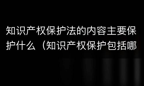 知识产权保护法的内容主要保护什么（知识产权保护包括哪些内容）