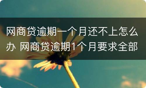 网商贷逾期一个月还不上怎么办 网商贷逾期1个月要求全部还清怎么办