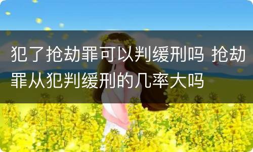 犯了抢劫罪可以判缓刑吗 抢劫罪从犯判缓刑的几率大吗