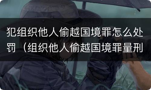 犯组织他人偷越国境罪怎么处罚（组织他人偷越国境罪量刑）
