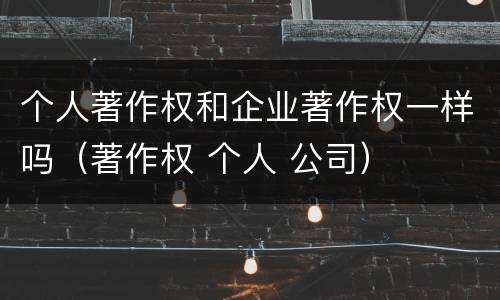 个人著作权和企业著作权一样吗（著作权 个人 公司）