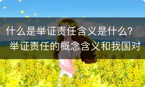 什么是举证责任含义是什么？ 举证责任的概念含义和我国对举证责任的规定