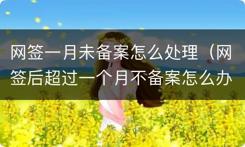 网签一月未备案怎么处理（网签后超过一个月不备案怎么办）