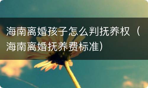 海南离婚孩子怎么判抚养权（海南离婚抚养费标准）