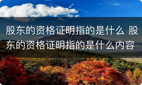 股东的资格证明指的是什么 股东的资格证明指的是什么内容