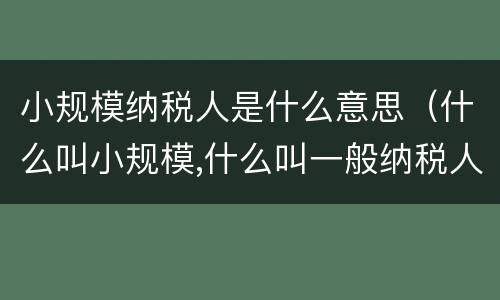 小规模纳税人是什么意思（什么叫小规模,什么叫一般纳税人?）
