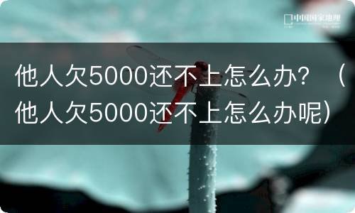 他人欠5000还不上怎么办？（他人欠5000还不上怎么办呢）