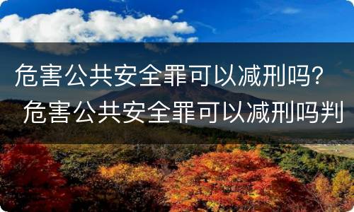 危害公共安全罪可以减刑吗？ 危害公共安全罪可以减刑吗判多少年