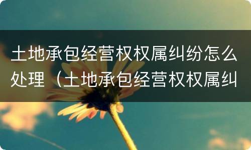土地承包经营权权属纠纷怎么处理（土地承包经营权权属纠纷怎么处理好）