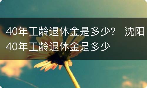 40年工龄退休金是多少？ 沈阳40年工龄退休金是多少