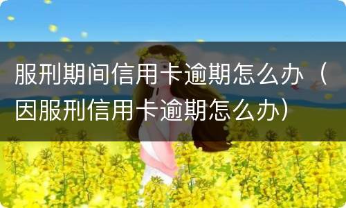 服刑期间信用卡逾期怎么办（因服刑信用卡逾期怎么办）