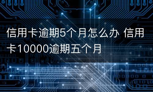 信用卡逾期5个月怎么办 信用卡10000逾期五个月