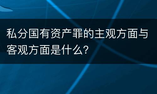 私分国有资产罪的主观方面与客观方面是什么？