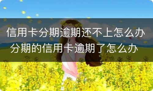 信用卡分期逾期还不上怎么办 分期的信用卡逾期了怎么办