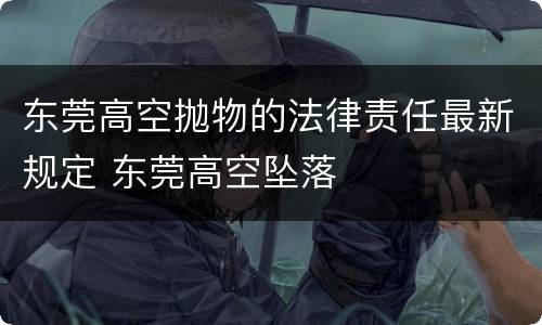 东莞高空抛物的法律责任最新规定 东莞高空坠落