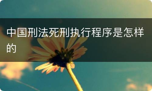 中国刑法死刑执行程序是怎样的