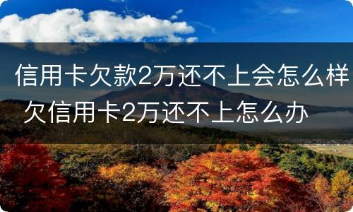 信用卡欠款2万还不上会怎么样 欠信用卡2万还不上怎么办
