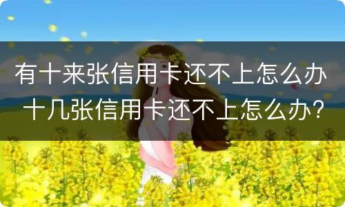 有十来张信用卡还不上怎么办 十几张信用卡还不上怎么办?