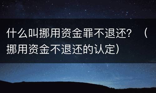 什么叫挪用资金罪不退还？（挪用资金不退还的认定）