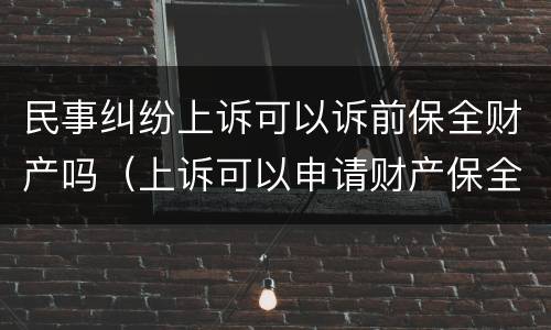 民事纠纷上诉可以诉前保全财产吗（上诉可以申请财产保全吗）
