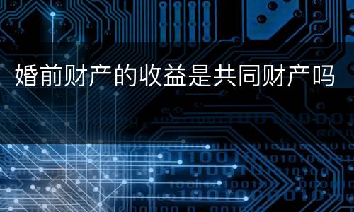 婚前财产的收益是共同财产吗