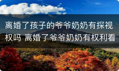 离婚了孩子的爷爷奶奶有探视权吗 离婚了爷爷奶奶有权利看孩子吗