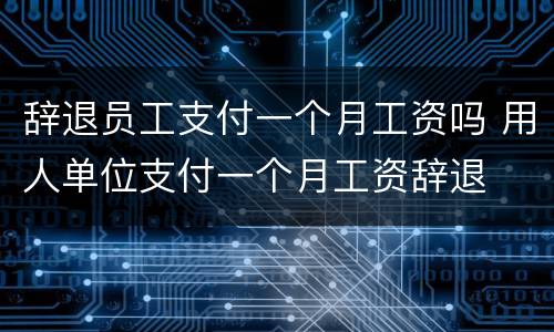 辞退员工支付一个月工资吗 用人单位支付一个月工资辞退