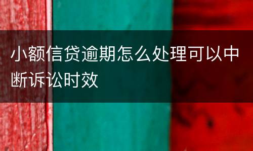 小额信贷逾期怎么处理可以中断诉讼时效
