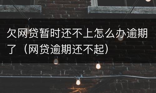 欠网贷暂时还不上怎么办逾期了（网贷逾期还不起）
