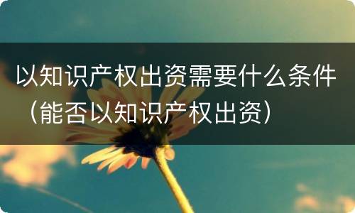 以知识产权出资需要什么条件（能否以知识产权出资）