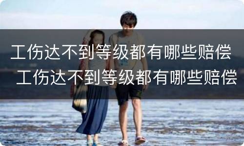 工伤达不到等级都有哪些赔偿 工伤达不到等级都有哪些赔偿最高法判决书