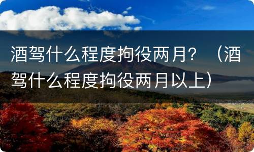 酒驾什么程度拘役两月？（酒驾什么程度拘役两月以上）