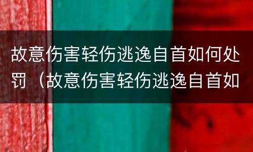故意伤害轻伤逃逸自首如何处罚（故意伤害轻伤逃逸自首如何处罚的）