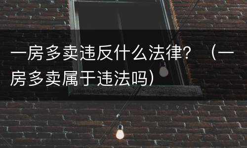 一房多卖违反什么法律？（一房多卖属于违法吗）