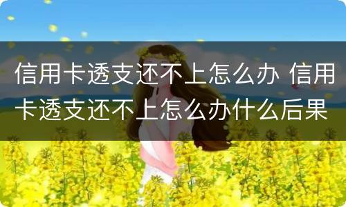 信用卡透支还不上怎么办 信用卡透支还不上怎么办什么后果