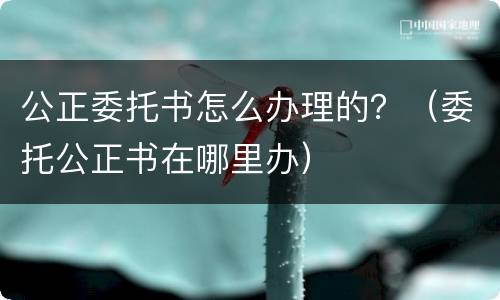 公正委托书怎么办理的？（委托公正书在哪里办）