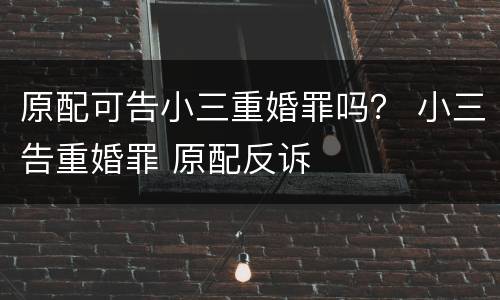 原配可告小三重婚罪吗？ 小三告重婚罪 原配反诉